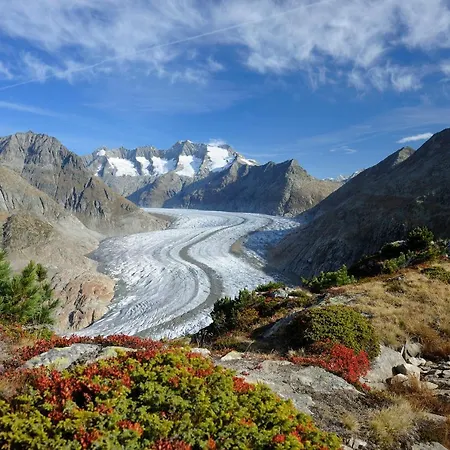 Alouette Ost Bettmeralp