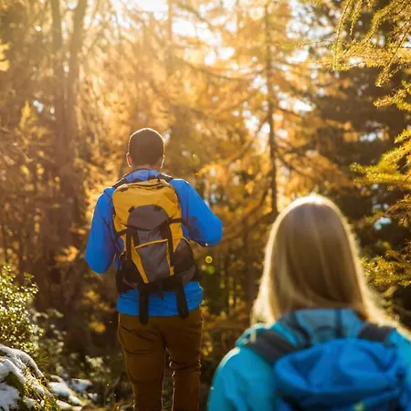 Alouette Ost Lejlighed Bettmeralp
